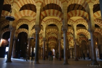 800x600-foto_4_cordoba_mezquita_arcos